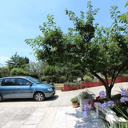 Mitton *
